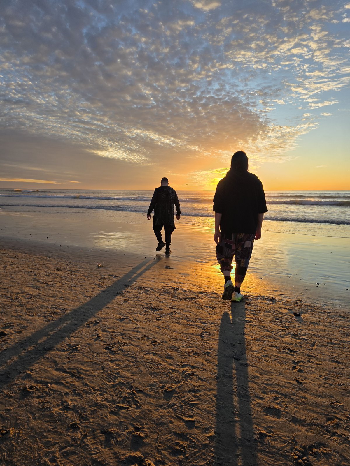 Goose and Squirrelybass walking away toward the ocean at golden hour, casting long shadows on the sand